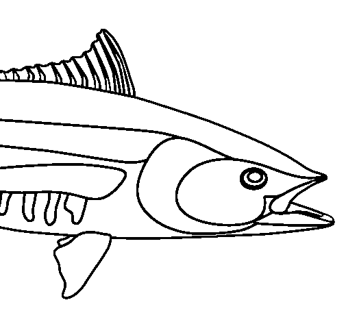 Desenho de Carpa-comum para Colorir