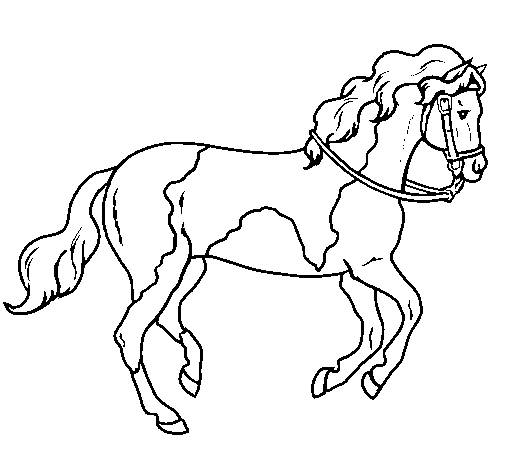 desenhos colorir pintar cavalos (4)  Cavalo desenho, Cavalos pintados,  Cavalos