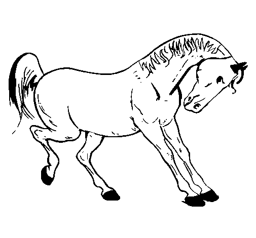 Desenho de Cavalo a dançar para Colorir
