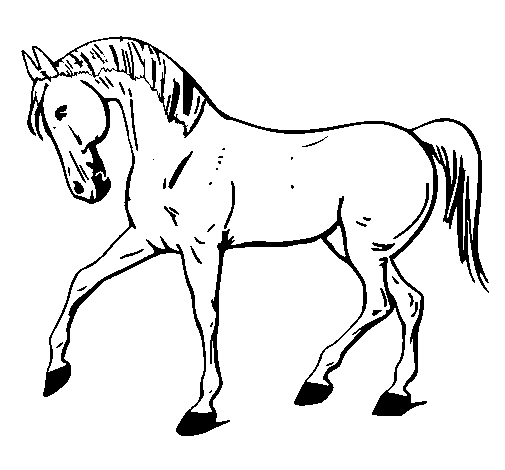 Desenho de Cavalo com a pata levantada para Colorir