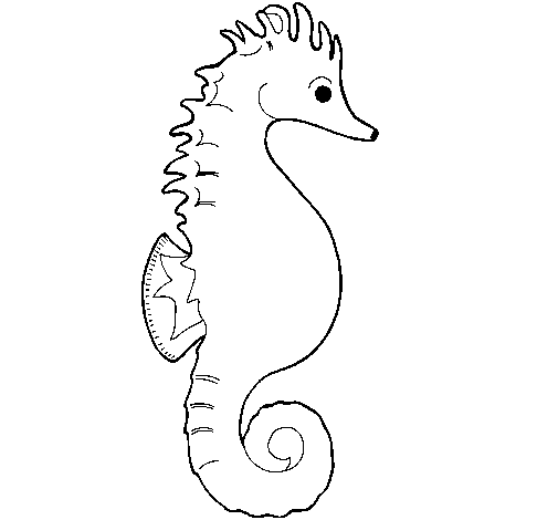 Desenho de Cavalo marinho para Colorir