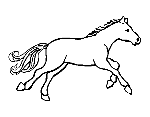 Desenho de Cavalo pequeno para Colorir
