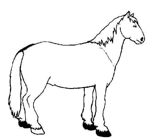 Desenho de Cavalo tranquilo para Colorir