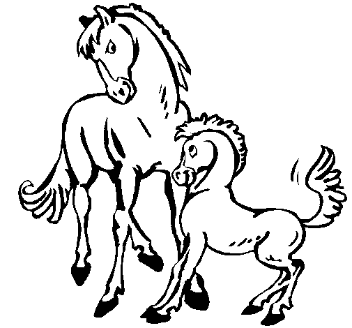 Desenho de Cavalos para Colorir