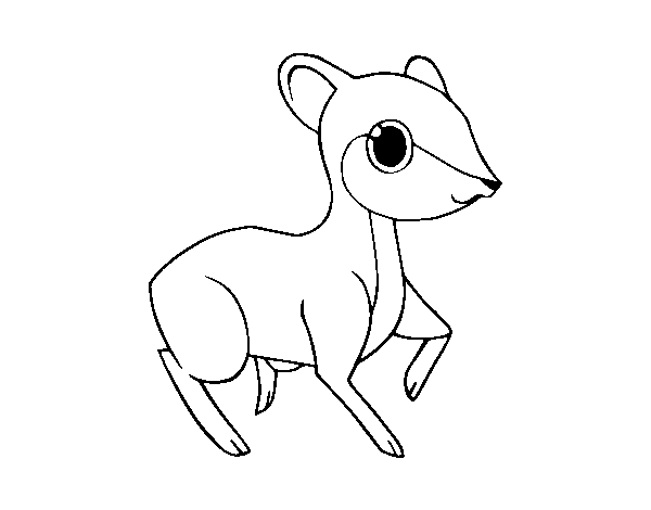 Desenho de Cervo pequeno para Colorir