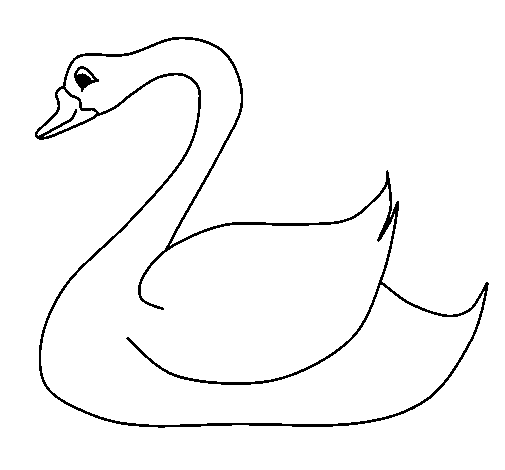 Desenho de Cisne para Colorir