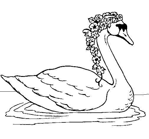 Desenho de Cisne com flores para Colorir