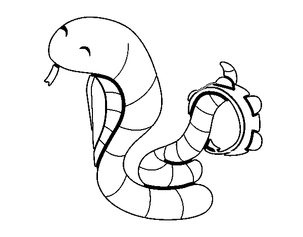 Desenho de Cobra com tamborin para Colorir