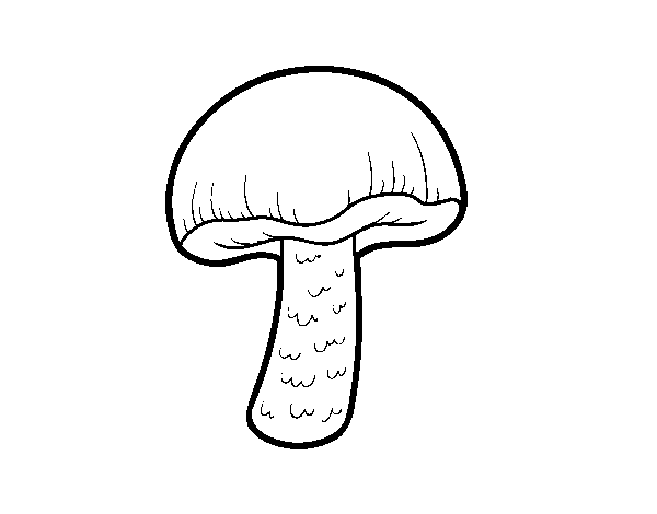 Desenho de Cogumelo comum para Colorir