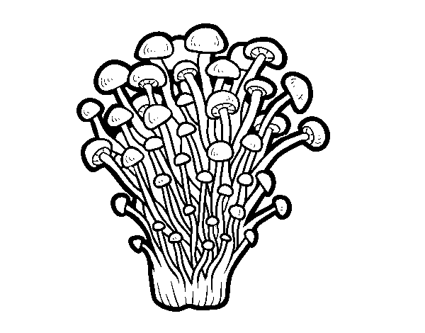 Desenho de Cogumelo enoki para Colorir