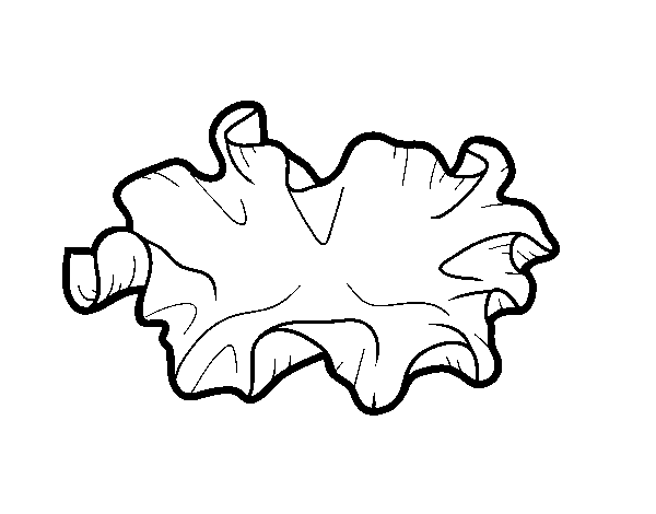 Desenho de Cogumelo kikurage para Colorir