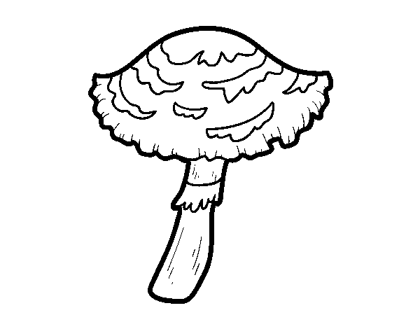 Desenho de Cogumelo lepiota cristata para Colorir