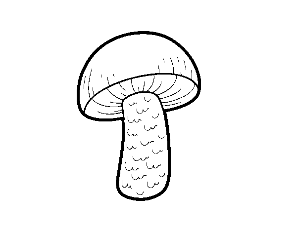 Desenho de Cogumelo outono para Colorir