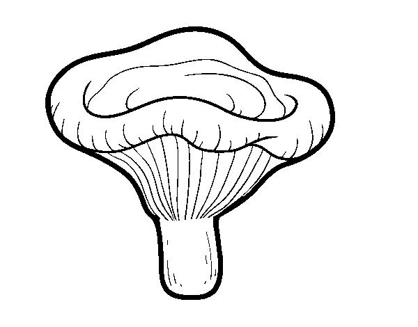 Desenho de Cogumelo paxillus involutus para Colorir