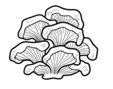 Desenho de Cogumelo pleurotus para colorear