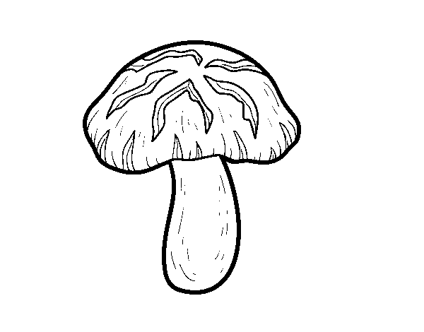 Desenho de Cogumelo shiitake para Colorir