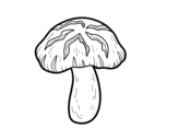 Desenho de Cogumelo shiitake para colorear