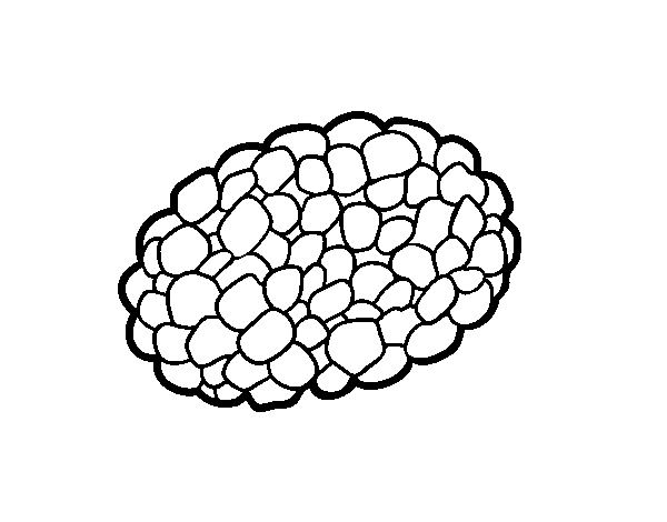 Desenho de Cogumelo trufa para Colorir