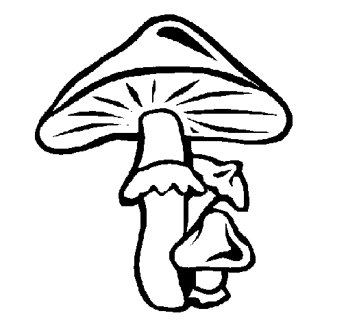 Desenho de Cogumelos para Colorir