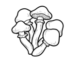 Desenho de Cogumelos venenosos para colorear
