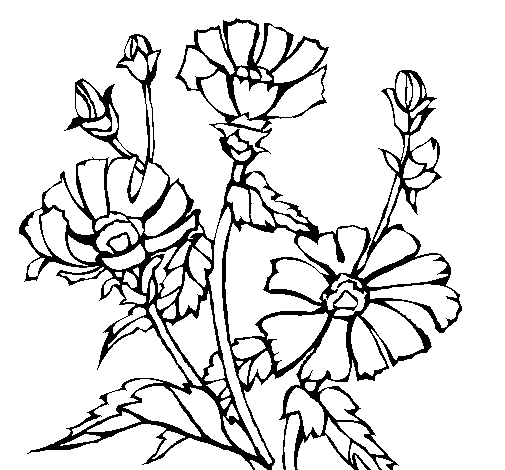 Desenho de Conjunto floral para Colorir