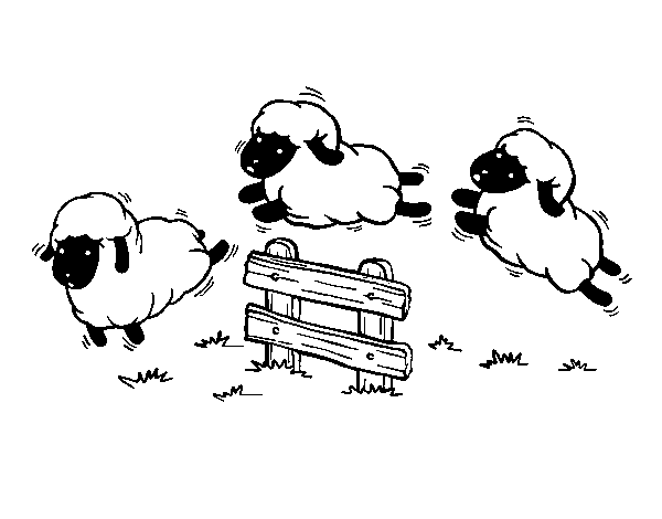 Desenho de Contar ovelhas para Colorir
