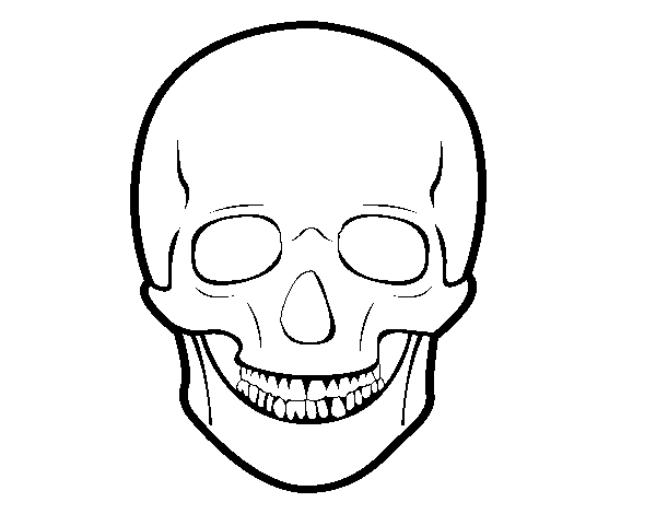 Desenho de Crânio humano para Colorir