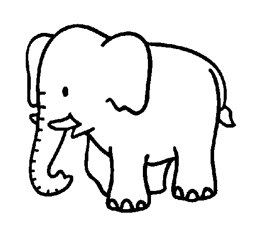 Desenho de Elefante bebé para Colorir