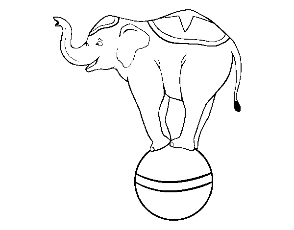 Desenho de Elefante equilibrista para Colorir