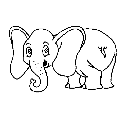 Desenho de Elefante pequeno para Colorir
