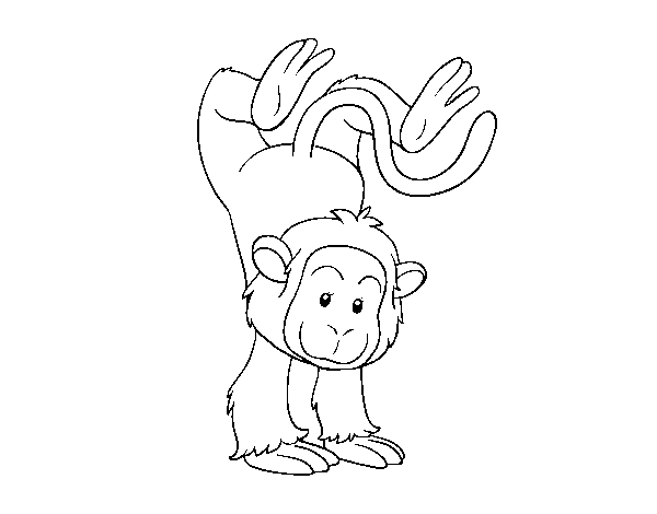 Desenho de Equilibrista macaco para Colorir