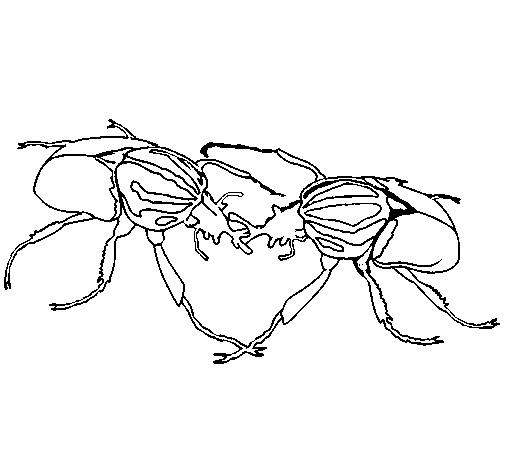 Desenho de Escaravelhos para Colorir