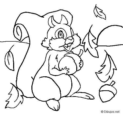 Desenho de Esquilo para Colorir
