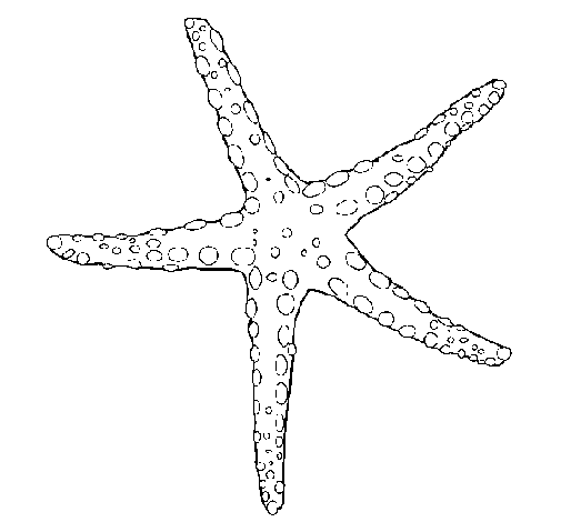 Desenho de Estrelita do mar para Colorir