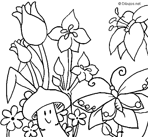 Desenho de Fauna e Flora para Colorir