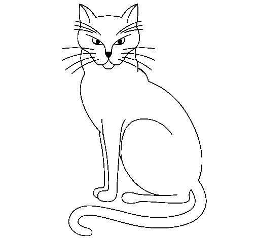 Desenho de Felino para Colorir