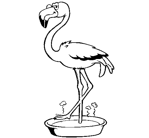 Desenho de Flamingo com os pés de molho para Colorir