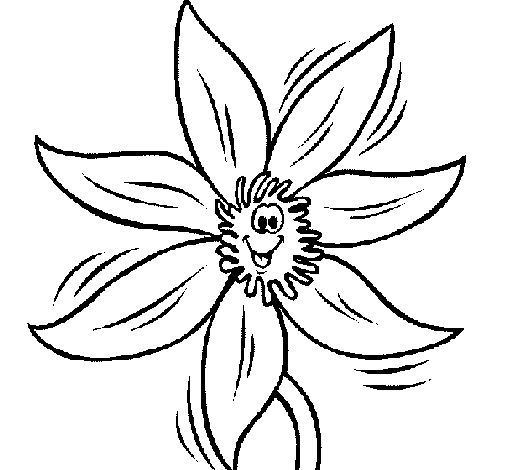 Desenho de Flor 2a para Colorir