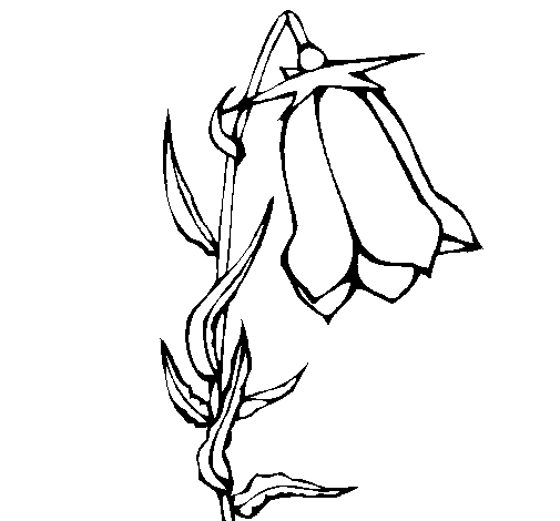 Desenho de Flor silvestre para Colorir