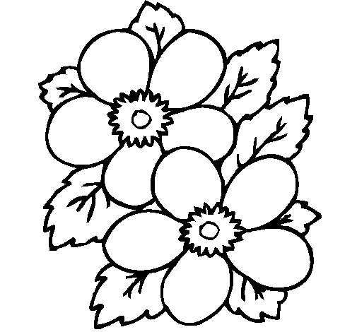 Desenho de Flores 1 para Colorir