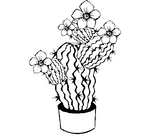 Desenho de Flores de cacto para Colorir