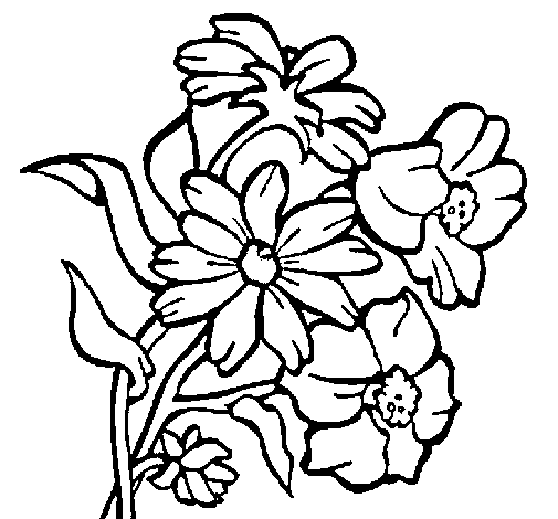 Desenho de Flores para Colorir