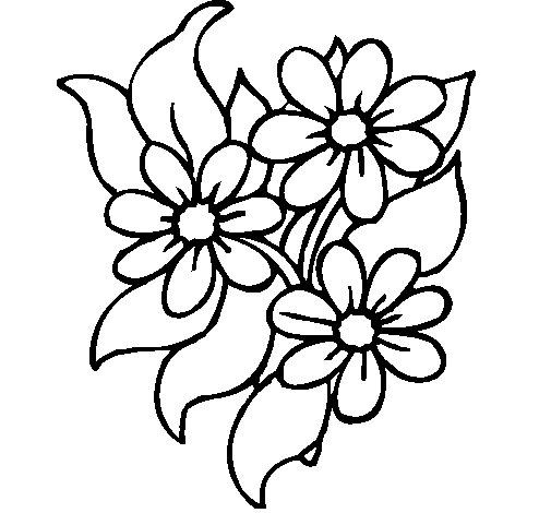 Desenho de Florzitas para Colorir