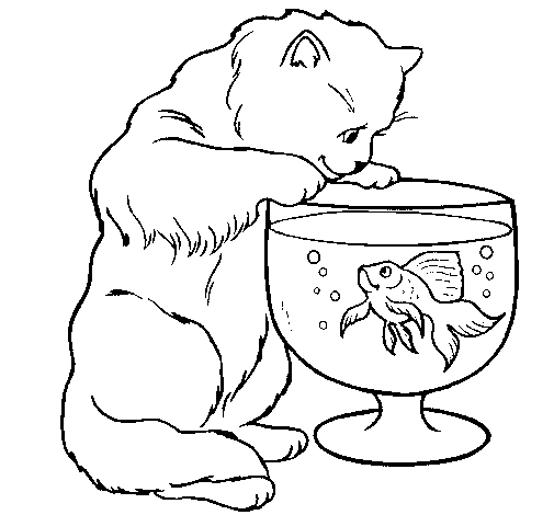 Desenho de Gato a olhar para o peixe para Colorir