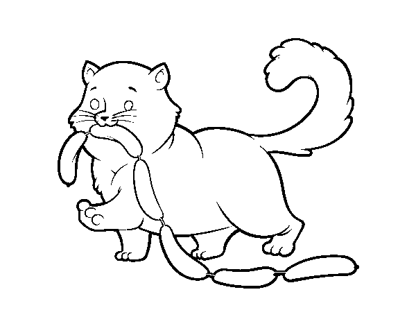 Desenho de Gato com salsicha para Colorir