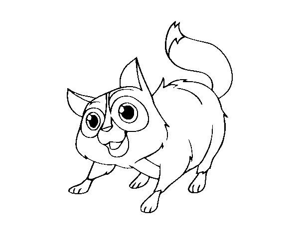 Desenho de Gato de rua para Colorir