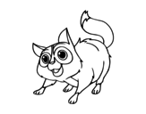 Desenho de Gato de rua para colorear