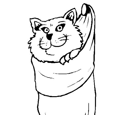 Desenho de Gato dentro de uma meia para Colorir