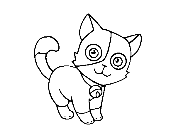 Desenho de Gato doméstico para Colorir