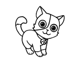 Desenho de Gato doméstico para colorear